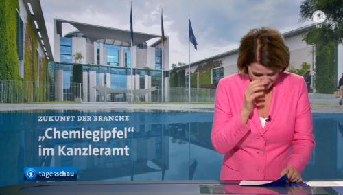 Tagesschau: Sprecherin Susanne Daubner erklärt Lachanfall nach launiger Moma-Überleitung - HORIZONT