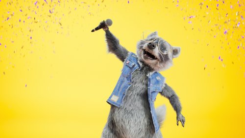 SIMon Mobile: Dieser süße Waschbär soll für Vodafone nach neuen Mobilfunk-Kunden fischen