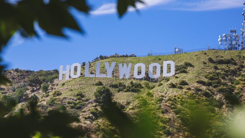 100 Tage Donald Trump: US-Filmbranche schweigt, als wäre sie in Schockstarre - HORIZONT