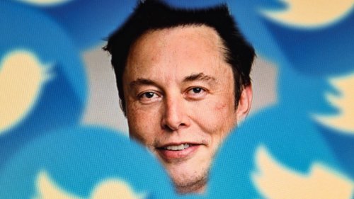 Ein "Elonfant" im Porzellanladen: Wie Elon Musk mit seinen Twitter-Eskapaden der Marke Tesla schadet