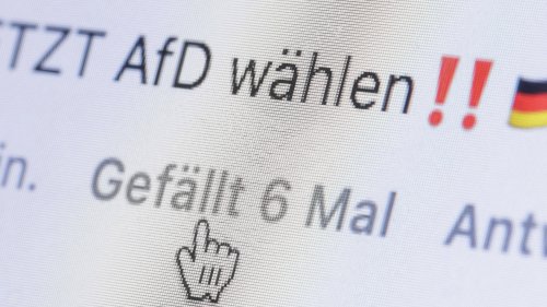Populismus im Netz: Warum Social Media in Deutschland momentan AfD-Land ist - HORIZONT
