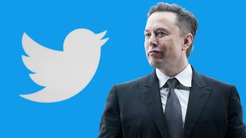 Kurznachrichtendienst : Twitter-Aktionär verklagt Elon Musk wegen Aktienkurs-Manipulation