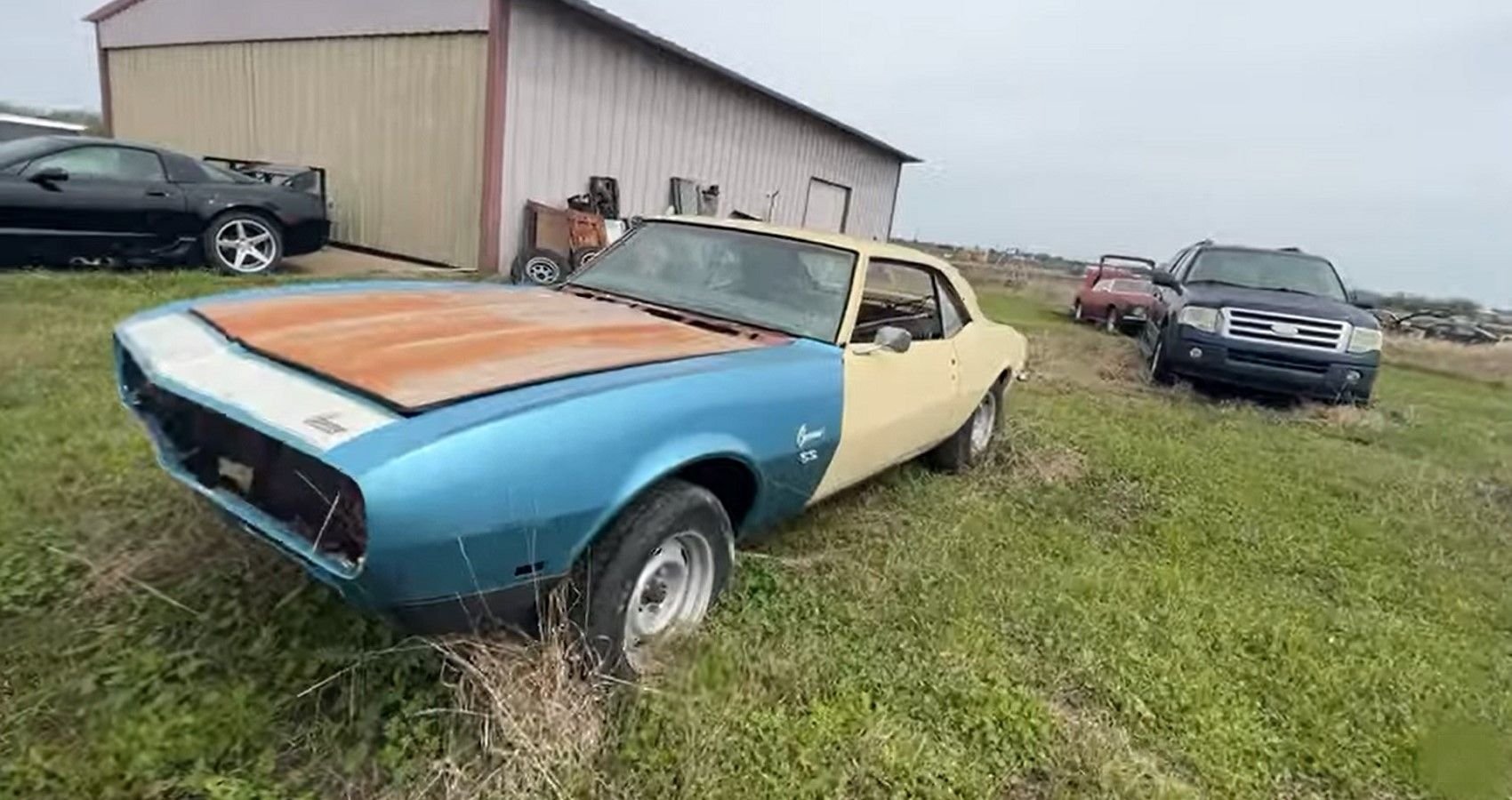 Barn Find Explorer Happens Upon Classic Treasures In Field Including Valuable Corvettes