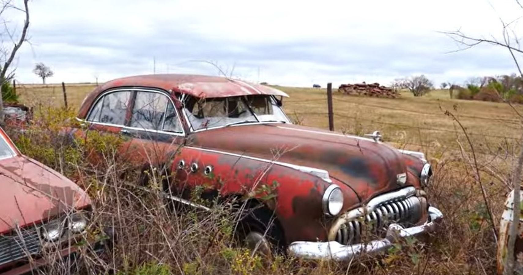 A Millionaire's Abandoned Classic Car Collection Offers Some Hidden Gems