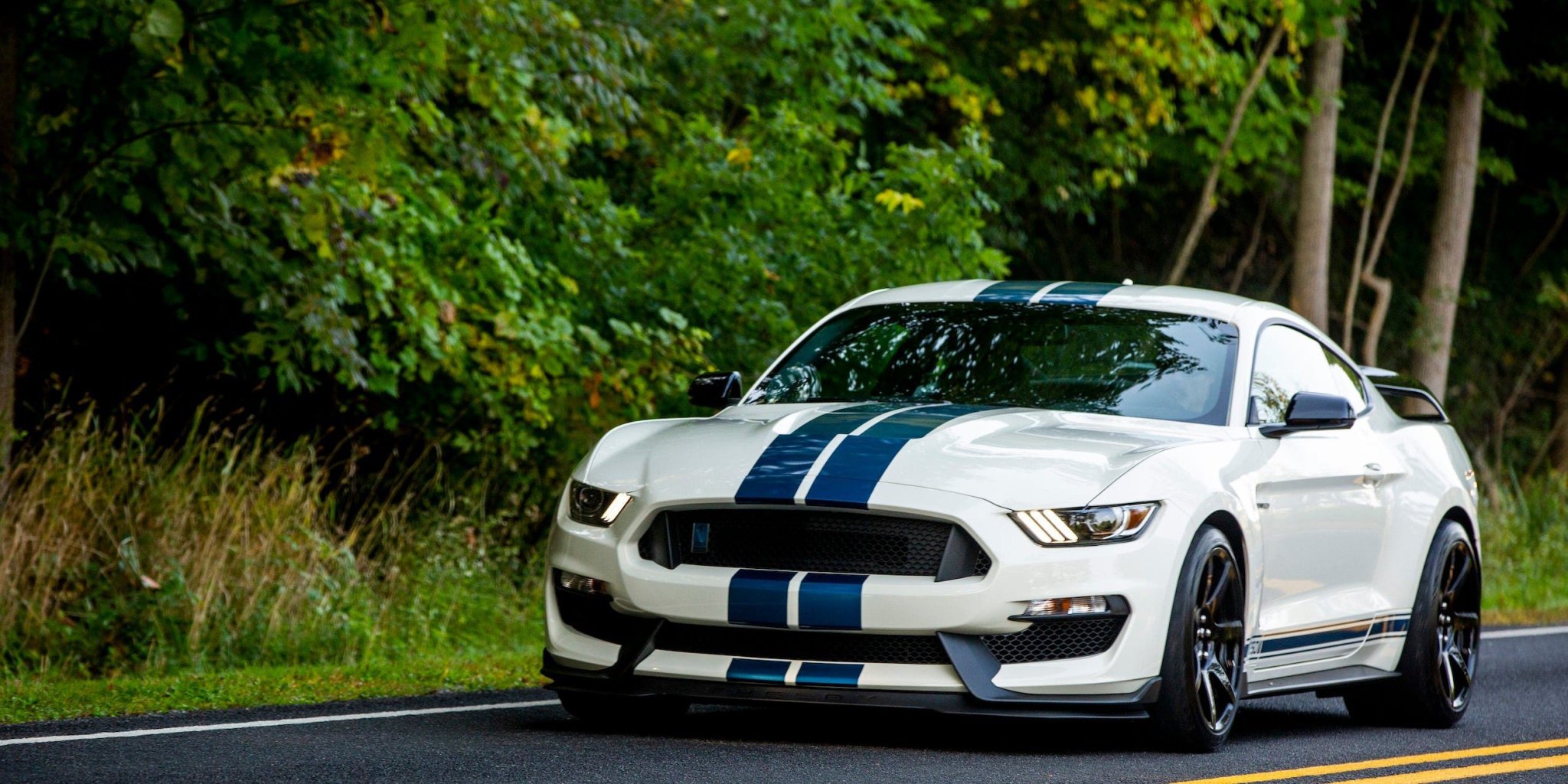 10 Captivating Facts About The Discontinued Ford Mustang Shelby GT350