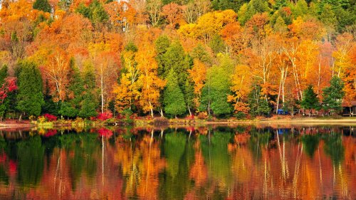 The best American road trips to see autumn leaves