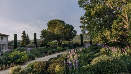 How to get the look of this glorious hilltop garden in Provence
