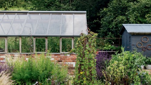 The dos and don'ts of planting a vegetable garden
