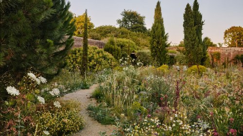 Why you should embrace the untidy edges of your garden