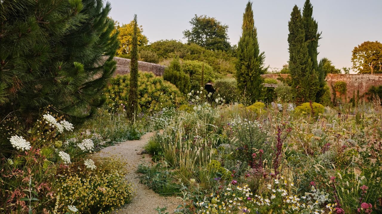 Why you should embrace the untidy edges of your garden