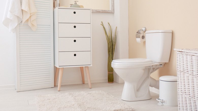 You Probably Didn't Know The Toilet Seat In Your Home Could Do This