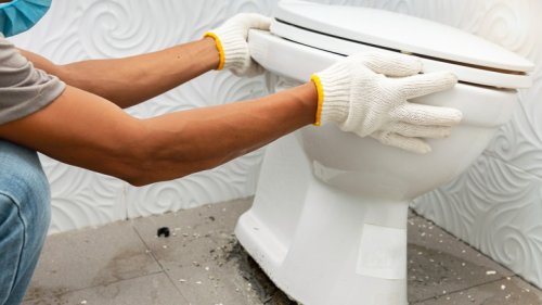 The Big Mistake Everyone Makes When Installing A New Toilet, According To TikTok