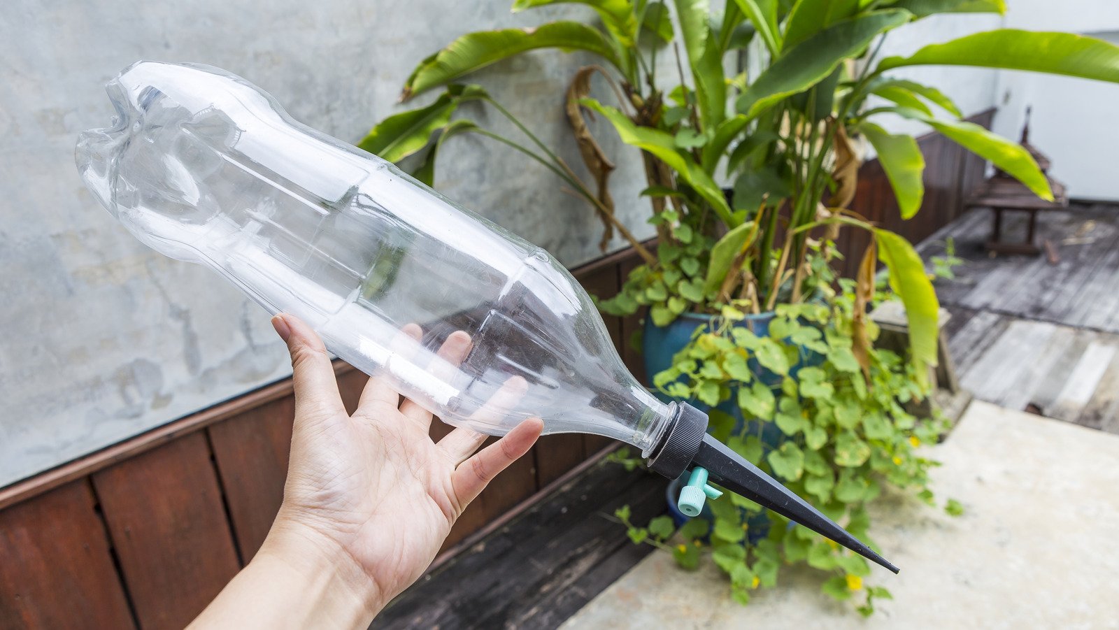 9 DIY Self-Watering Planter Ideas You'll Want To Try In The Garden