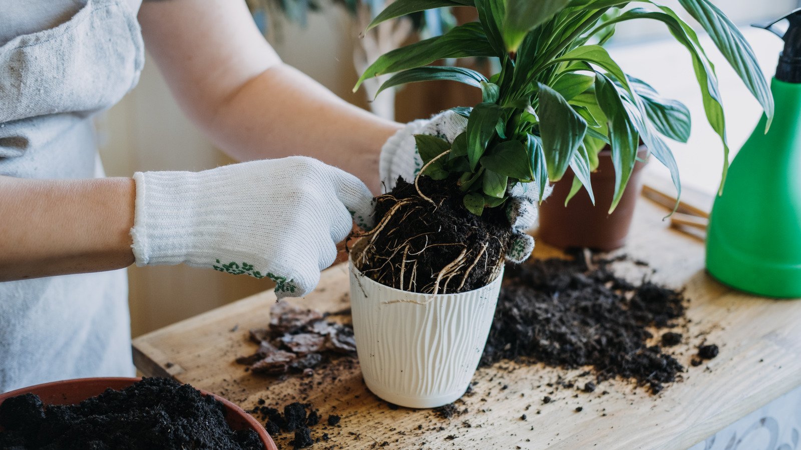 Common Household Items You Can Turn Into Beautiful Planters