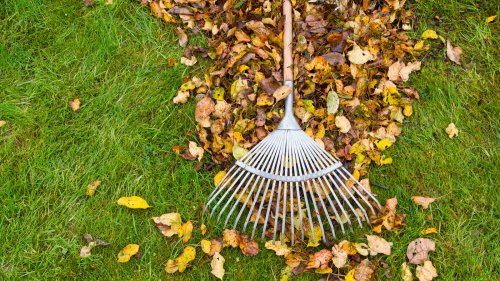 5 Things To Do Around Your House And Garden This Fall