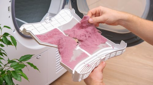 Why You Should Consider Saving Your Dryer Lint