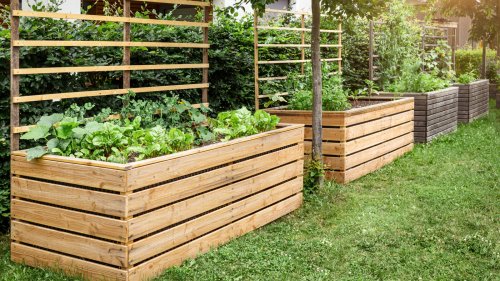 The Best Type Of Wood For Planter Boxes (& What To Avoid)
