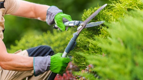 Gardener Vs. Landscaper: What's The Difference And Who Should You Hire?