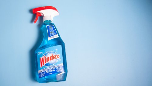 25 Surprising Ways You Can Use Windex Around The Home