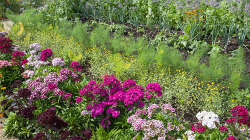 This Underrated Fertilizer Might Be The Secret To A Thriving Garden