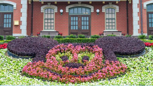 Use Disney's Secrets For Picture-Perfect Landscaping In Your Own Lawn