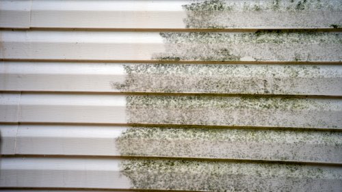 Easily Remove Algae From Your Home's Siding With Two Common Household Staples