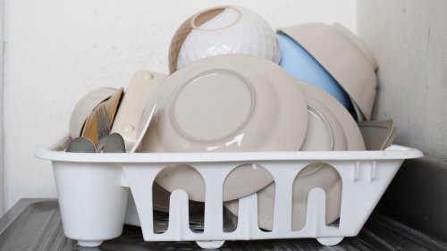 Say Bye To Your Slimy Traditional Dish Drainer With A Cleaner Alternative