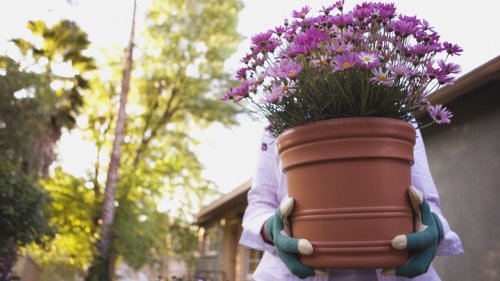 Add These Unexpected Items To The Bottom Of Your Planters And Thank Us Later