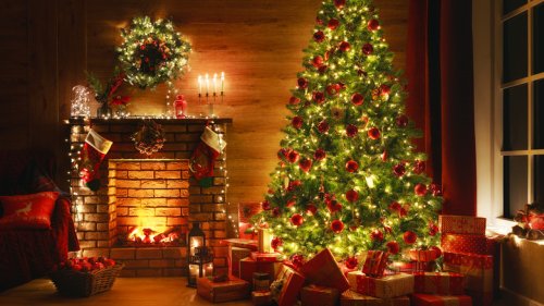 What To Do With Your Christmas Tree After The Holiday