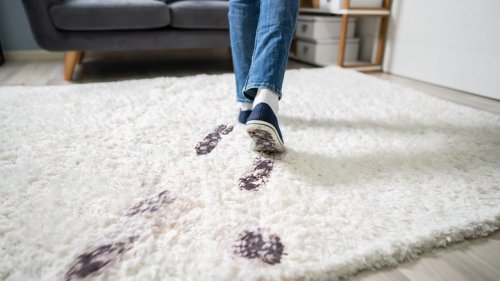 TikTok's Palm-Sander Hack For Dirty Carpets Has Us Stunned