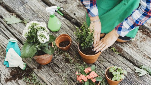 How To DIY A Garden Storage Space Without A Shed