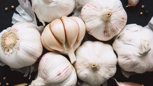 Everything You Need To Know To Grow Your Own Garlic