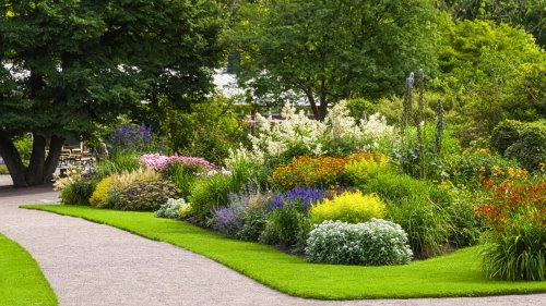 The Perfect Ground Cover For Year Round Color In Your Garden