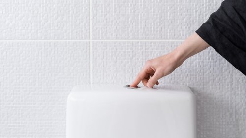 one piece v two piece toilet