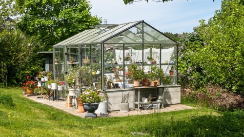 Home Depot Or Lowe's: Which Has Better Deals On Greenhouses?