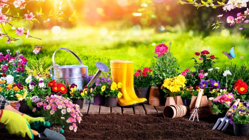 The 15 Most Essential Gardening Tools