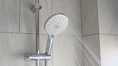 The Tiny Pest That May Be Lurking In Your Shower Grout (& How To Eliminate Them)