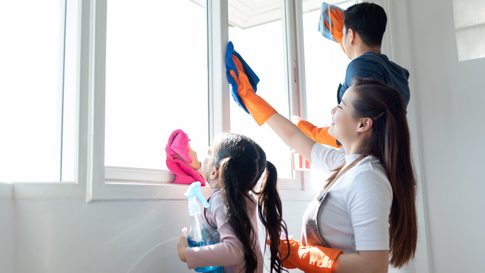 The Biggest Mistakes You're Making When Cleaning Windows - House Digest
