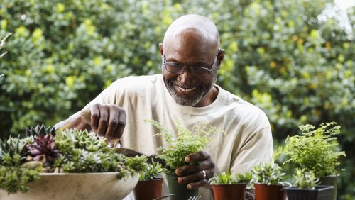 Aldi Is Carrying An Affordable Garden Essential That Shoppers Are Snatching Up Fast