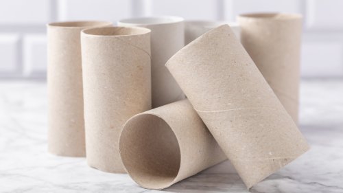 Grab An Empty Toilet Paper Roll And Watch What Culinary Gem You Can Grow