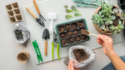 The Gardening Hack That Will Give You An Attractive And Easy-To-Reach Spot To Store Tools