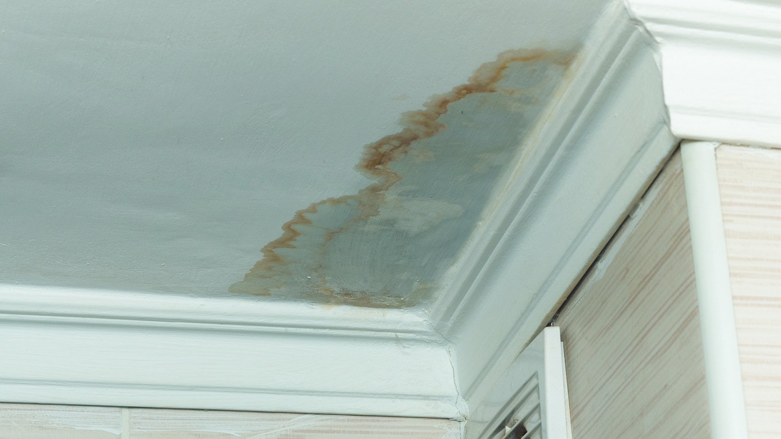 What It Could Mean If There Are Water Stains On Your Ceiling