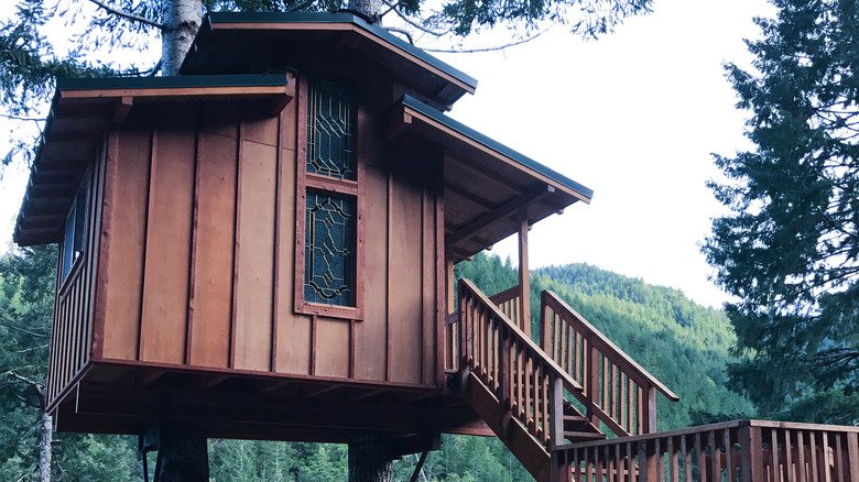 40 Amazing Treehouses That Will Blow You Away