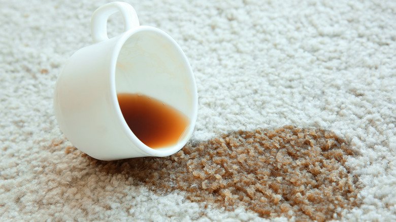 Why The Spot In Your Carpet Keeps Coming Back, And How To Clean It For Good