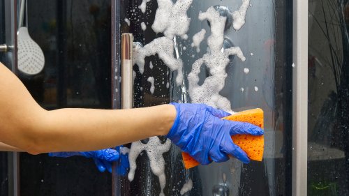 Mistakes You Have To Stop Making When Cleaning Glass Shower Doors [6 Slides]