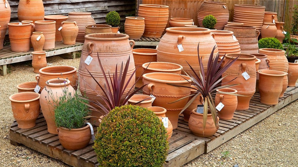 YARD GARDEN FARM