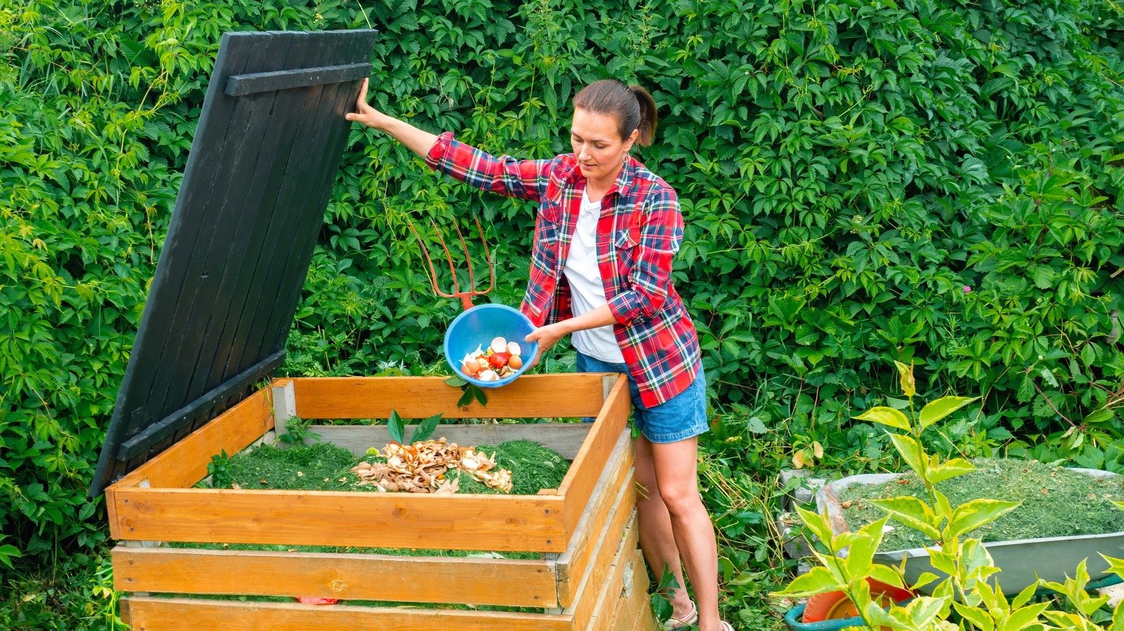 16 Food Scraps That Can Be Used To Fertilize Your Garden