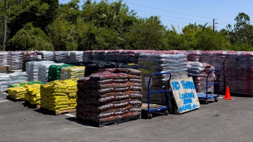 The One Color Mulch That's Making Your Yard Look Outdated