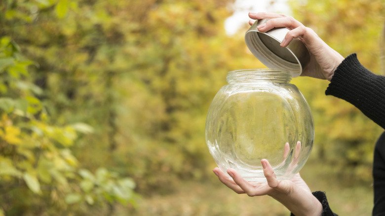 Glass Jars Are The Hero Of The Garden When You Use Them Like This