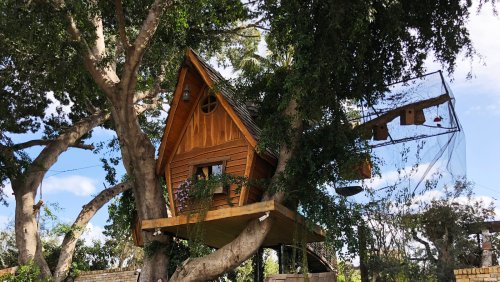 20 Backyard Treehouse Ideas You've Wanted Since You Were A Kid